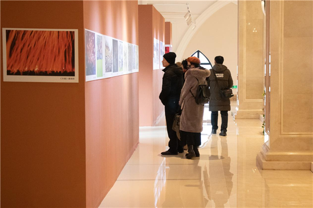 图片14.png