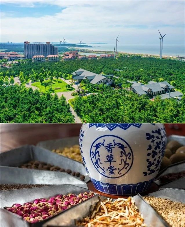 图片8.png