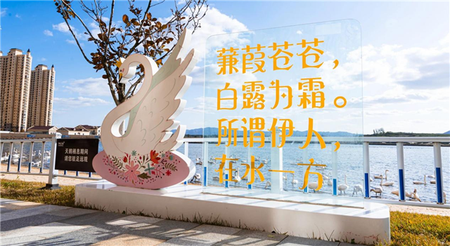 图片14.png
