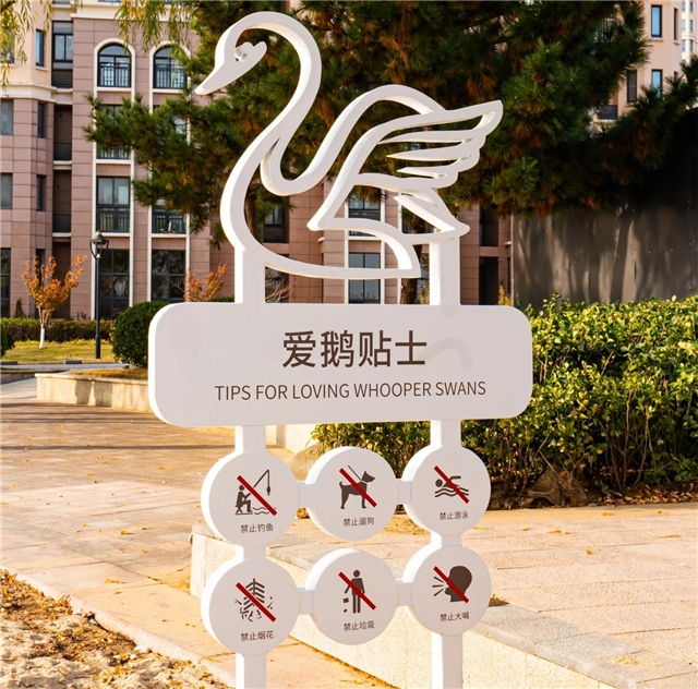 图片17.png