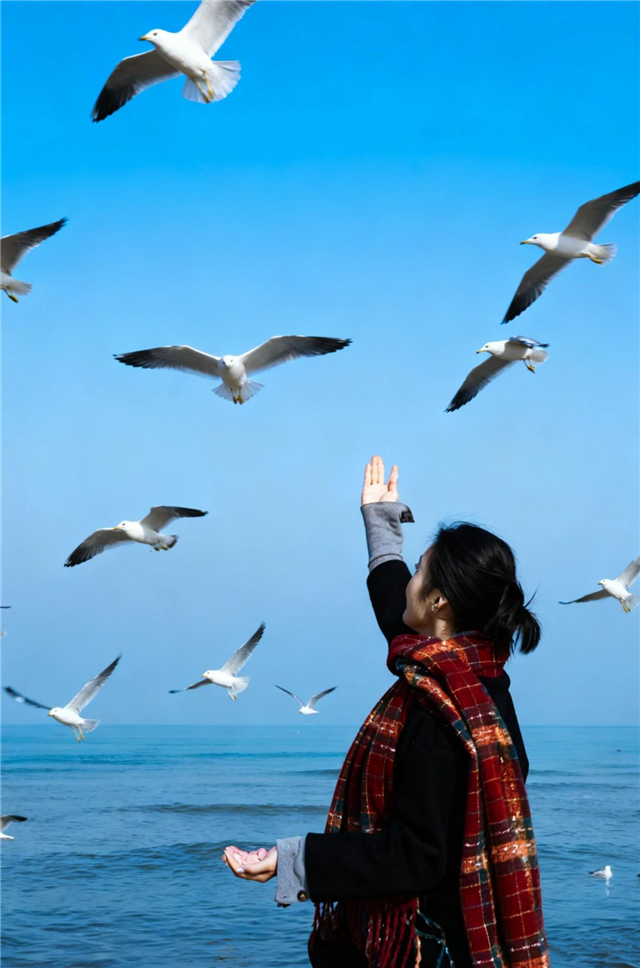 图片14.png